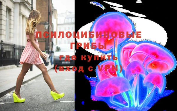 спиды Абаза